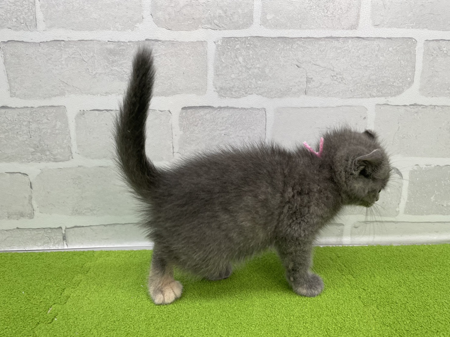 赤ちゃん写真2-2