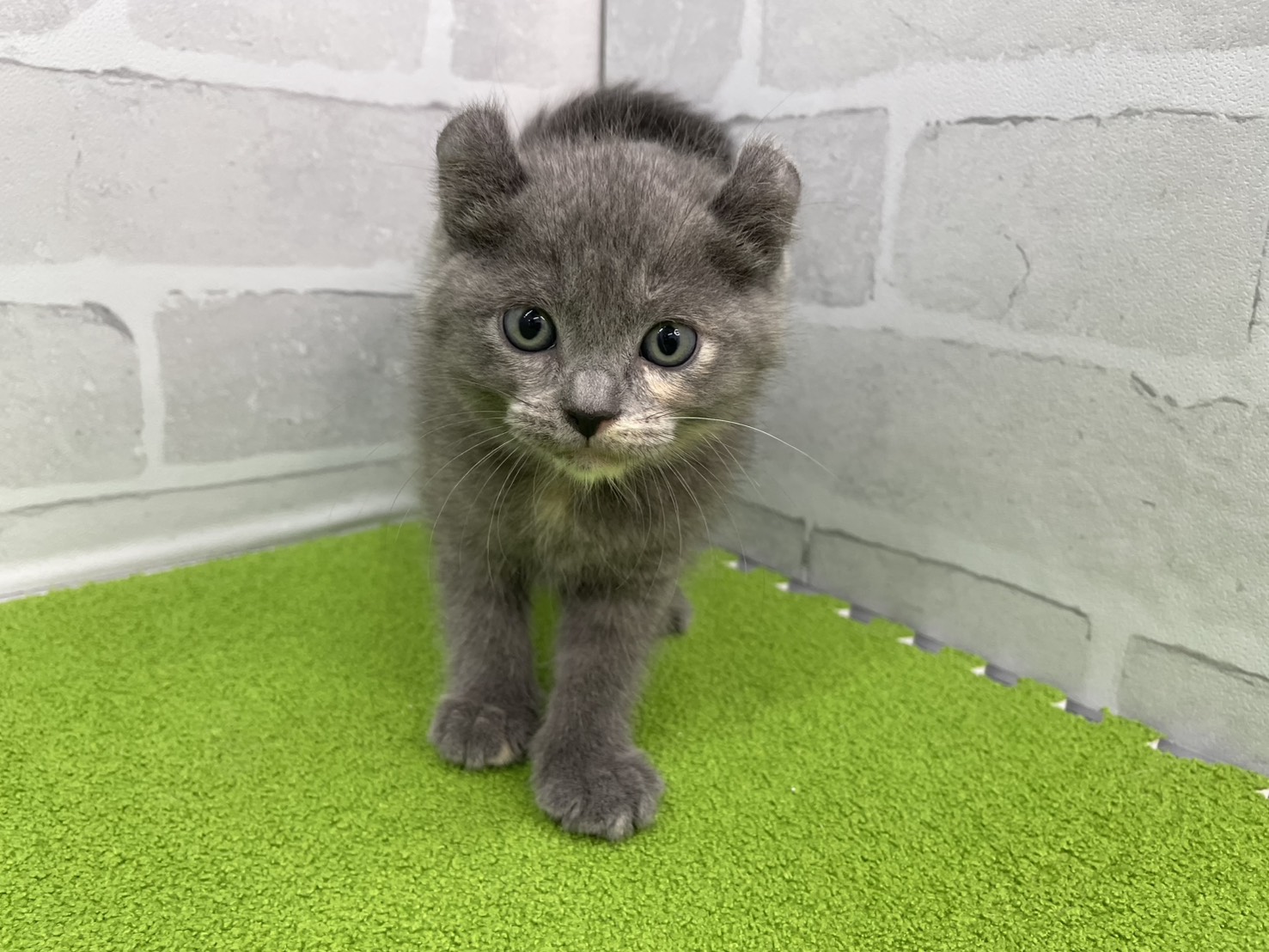 赤ちゃん写真3-1