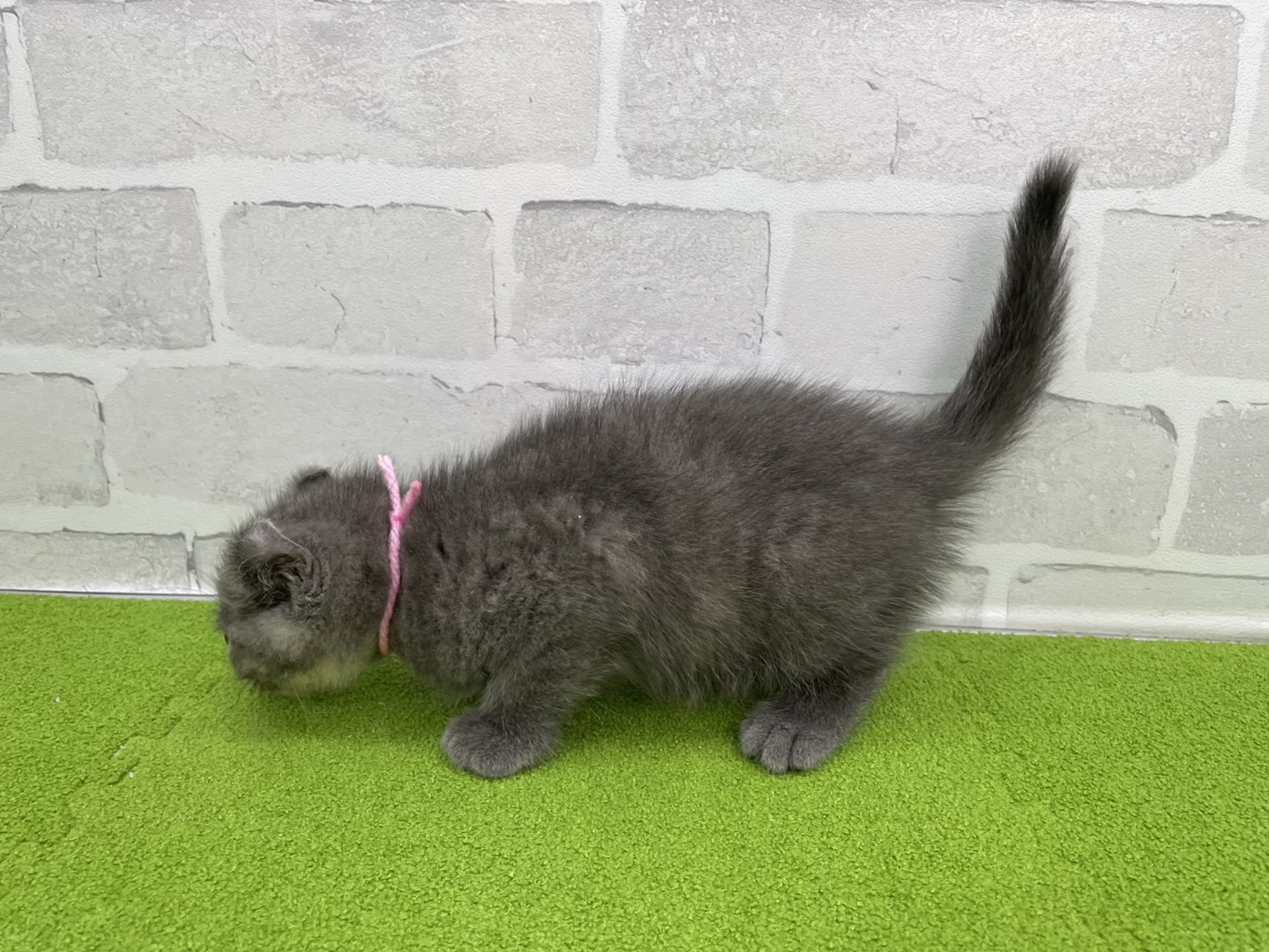 赤ちゃん写真3-2