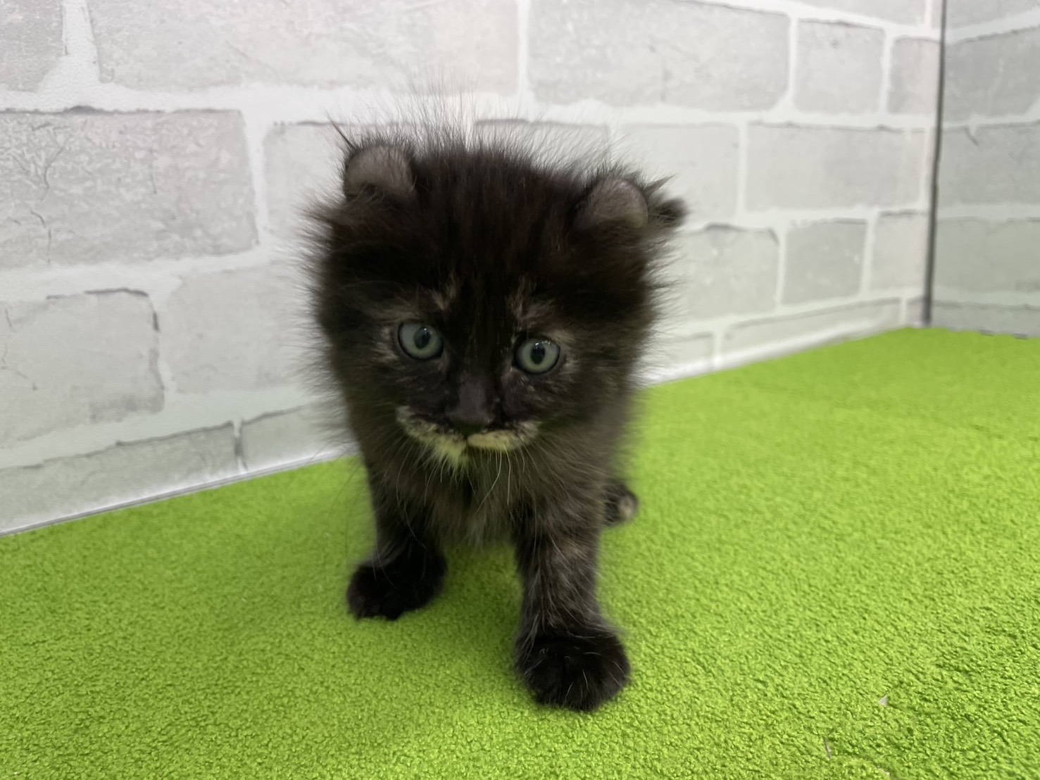 赤ちゃん写真2-1