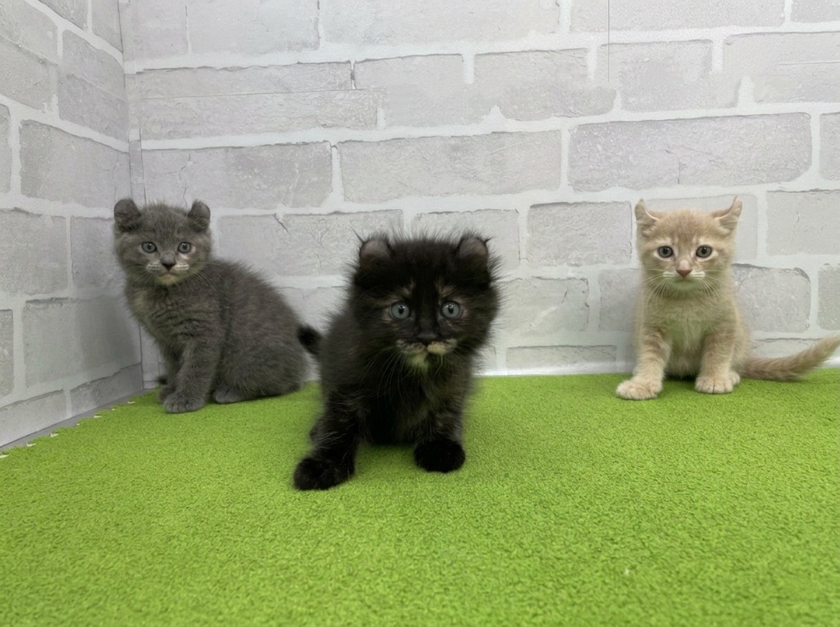 赤ちゃん写真2-3