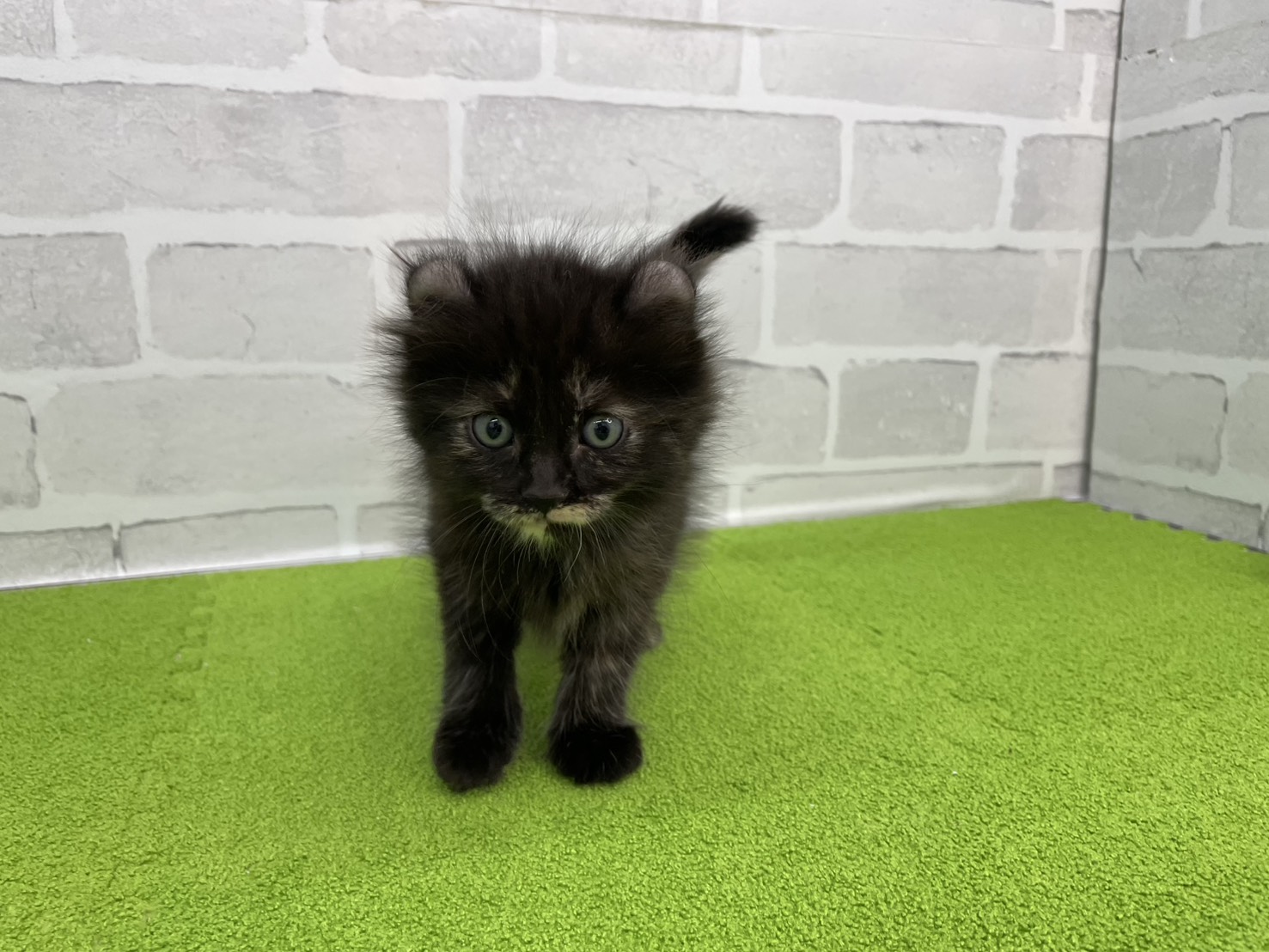 赤ちゃん写真3-1