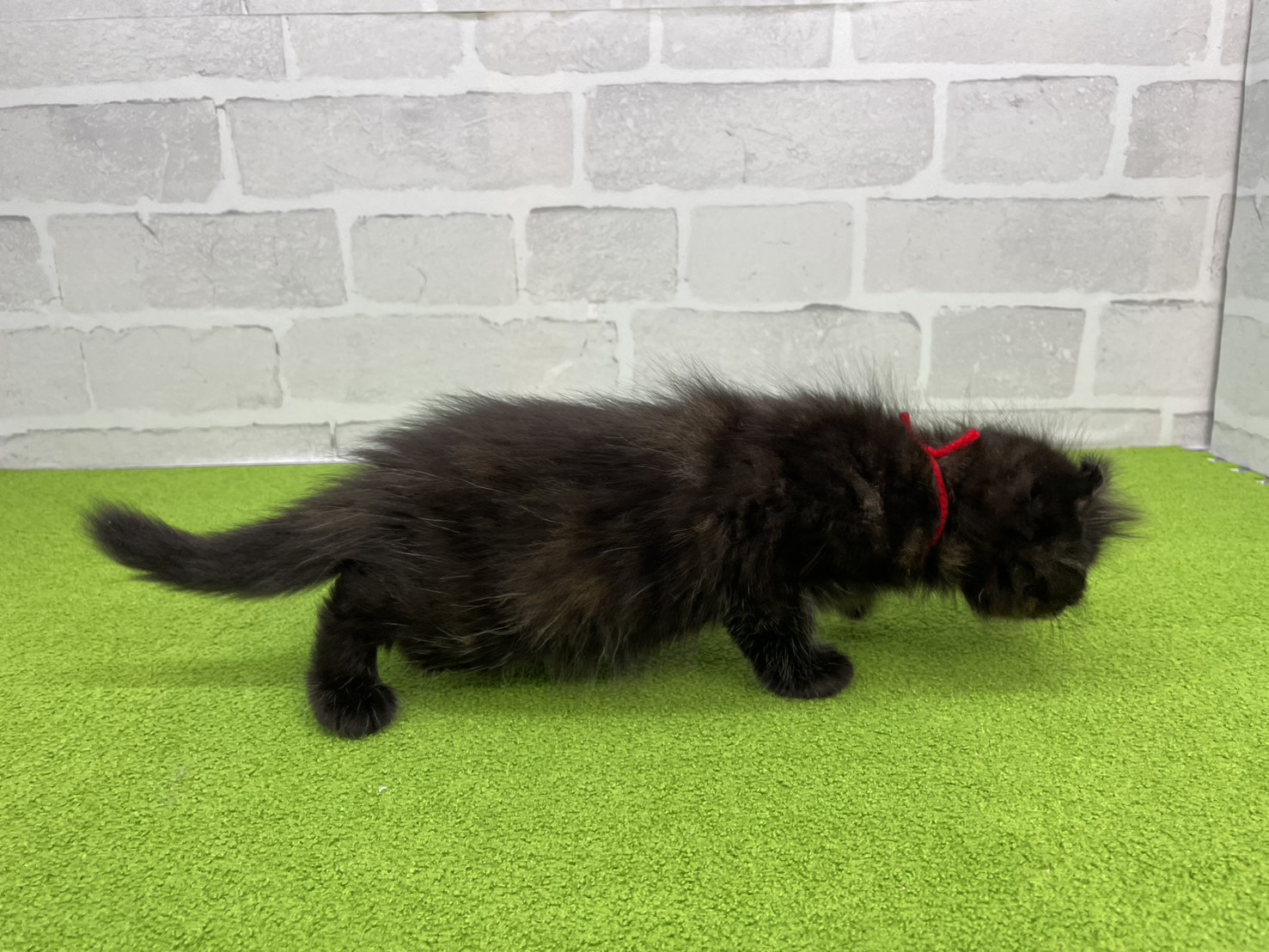 赤ちゃん写真3-2