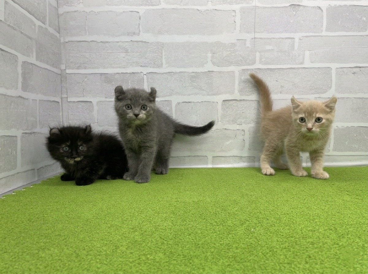 赤ちゃん写真3-3