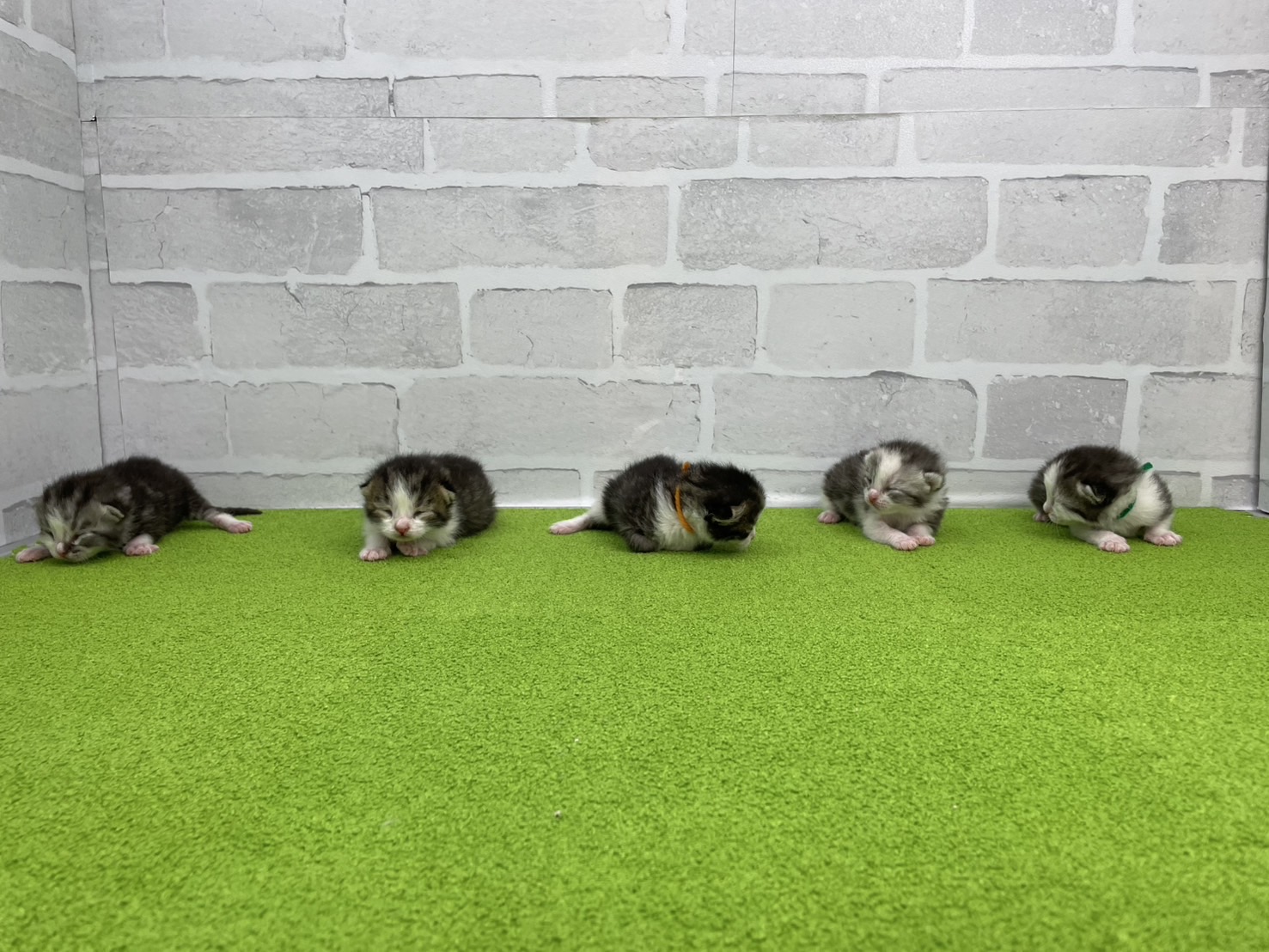 赤ちゃん写真1-3