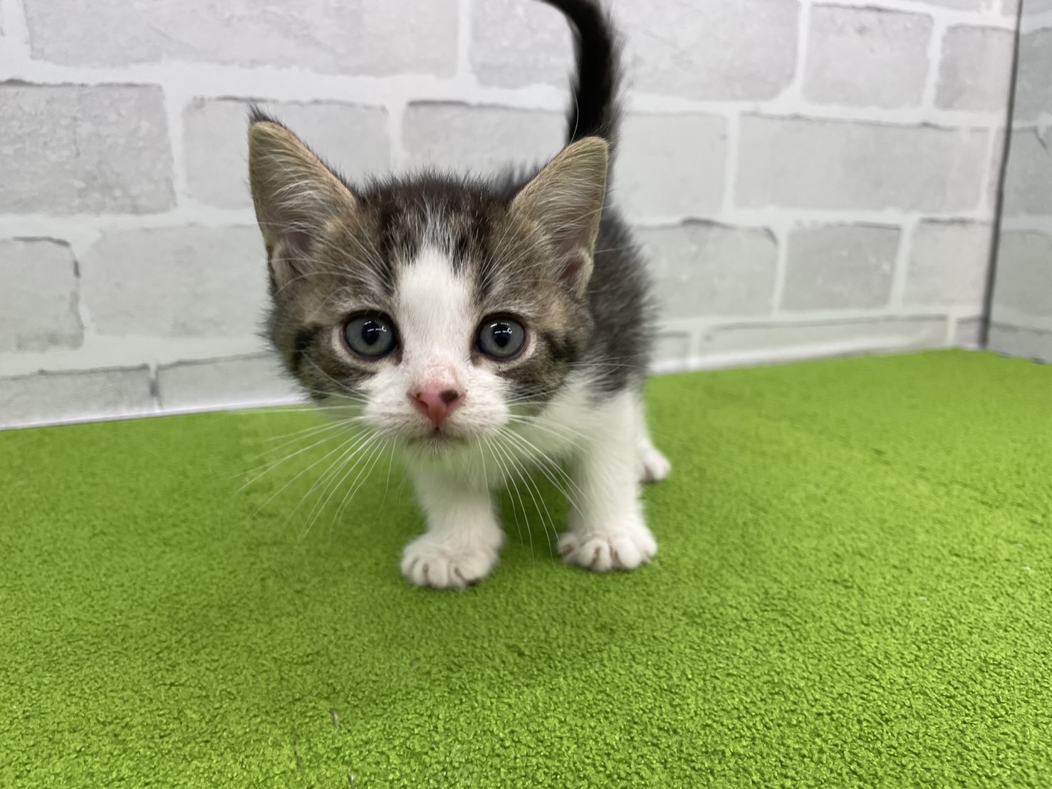 赤ちゃん写真2-1