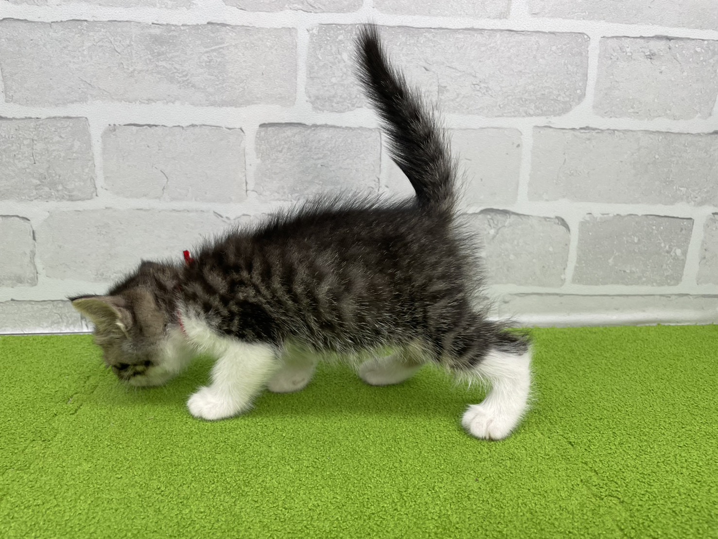 赤ちゃん写真2-2