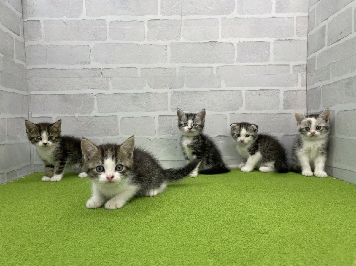 赤ちゃん写真2-3