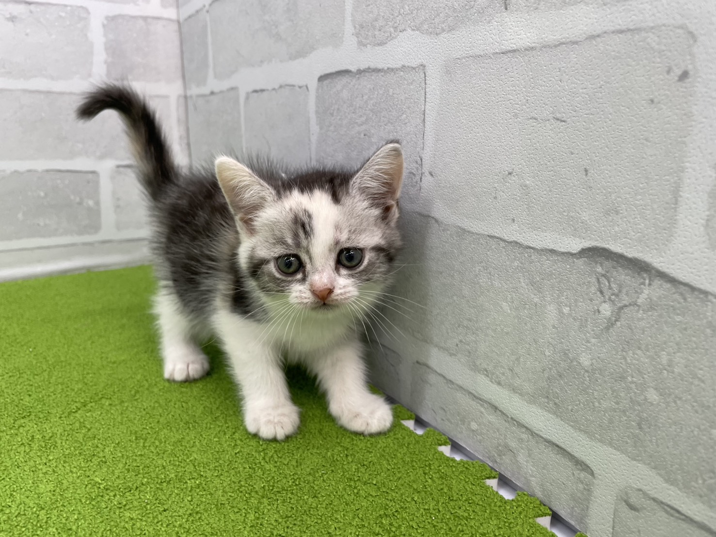 赤ちゃん写真2-1