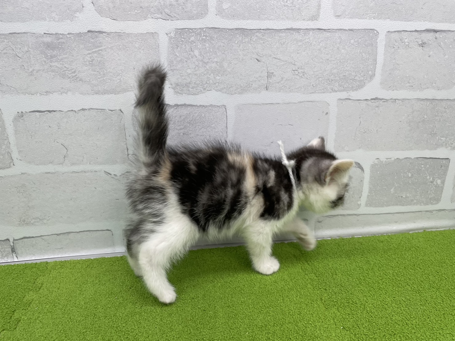 赤ちゃん写真2-2