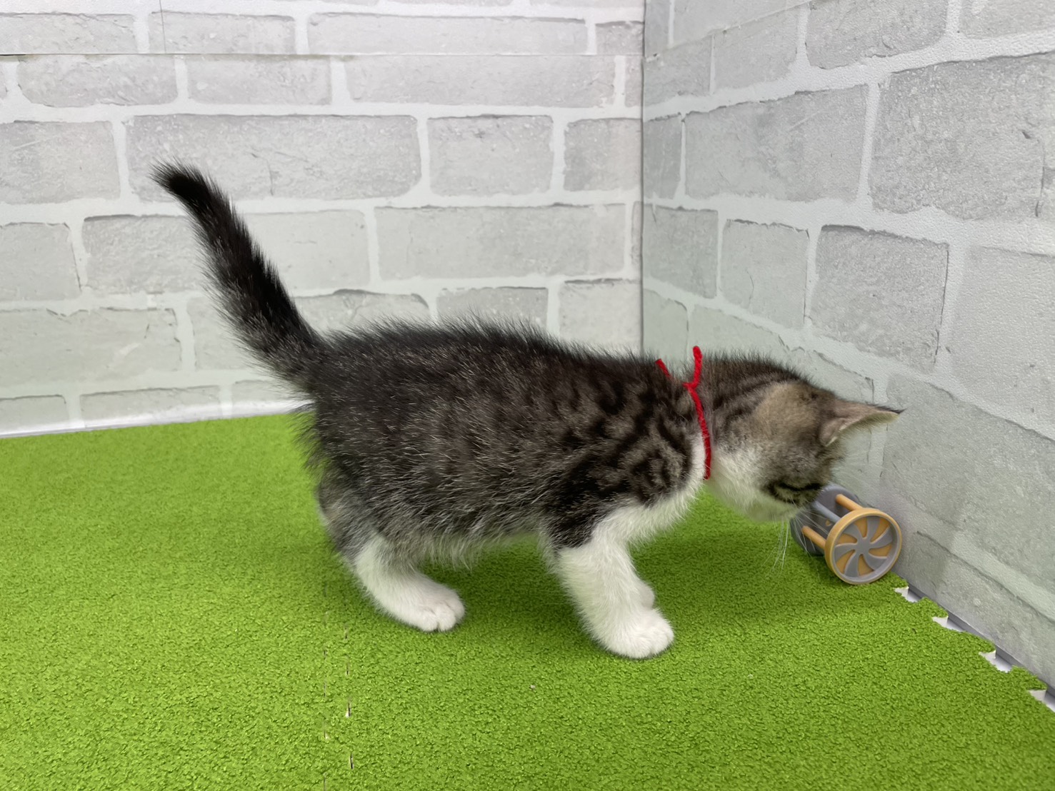 赤ちゃん写真3-2