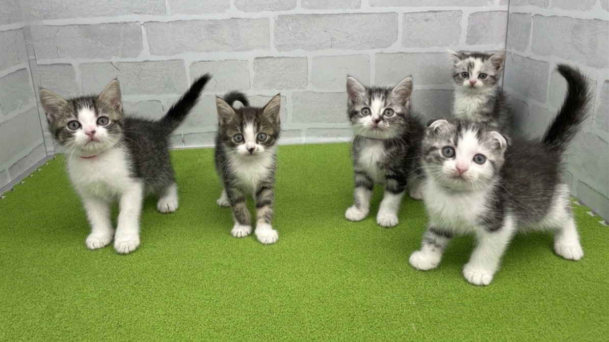 赤ちゃん写真3-3