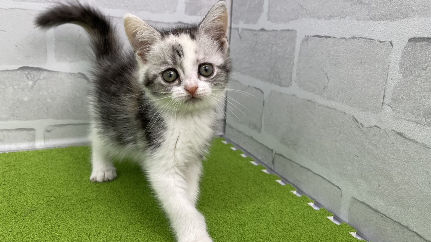 赤ちゃん写真3-1