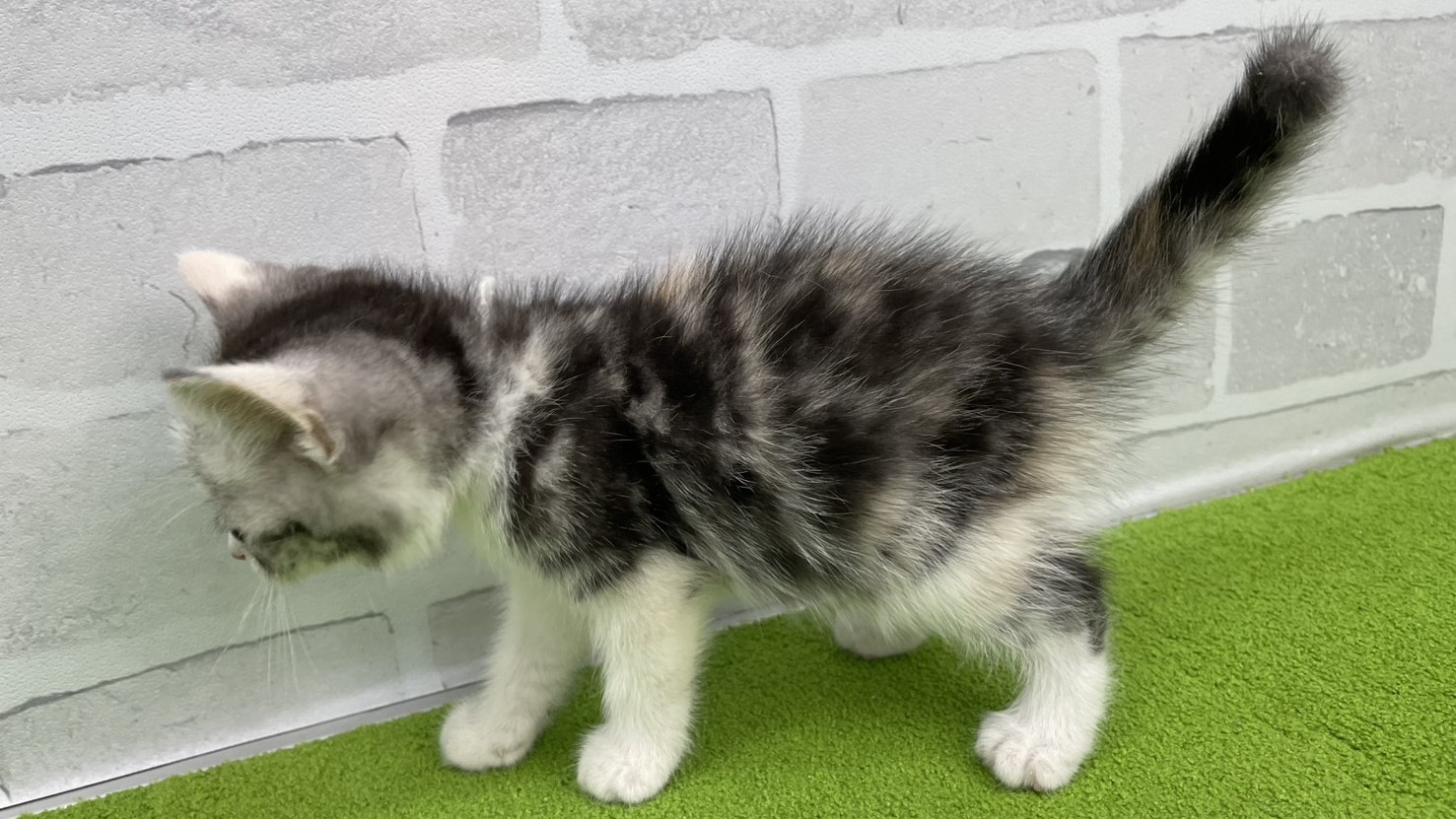 赤ちゃん写真3-2