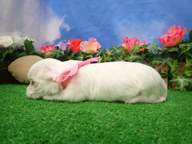 赤ちゃん写真2-2