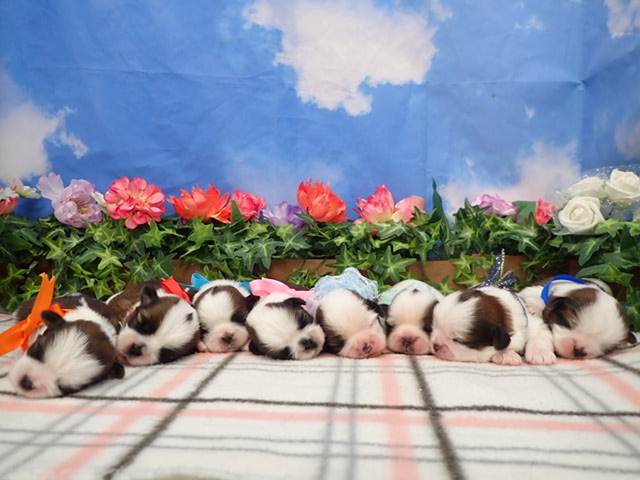 赤ちゃん写真1-3