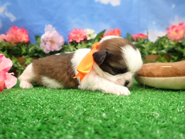 赤ちゃん写真2-2