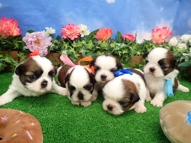 赤ちゃん写真2-3