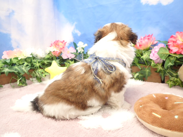 赤ちゃん写真3-2