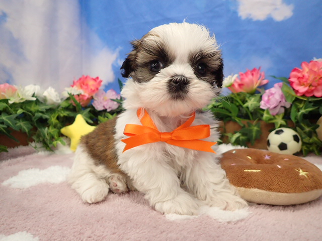 赤ちゃん写真3-1