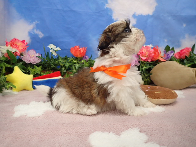 赤ちゃん写真3-2