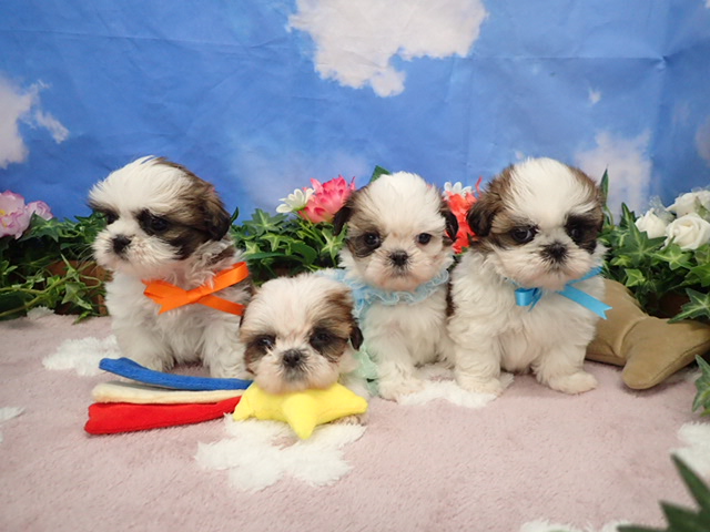 赤ちゃん写真3-3