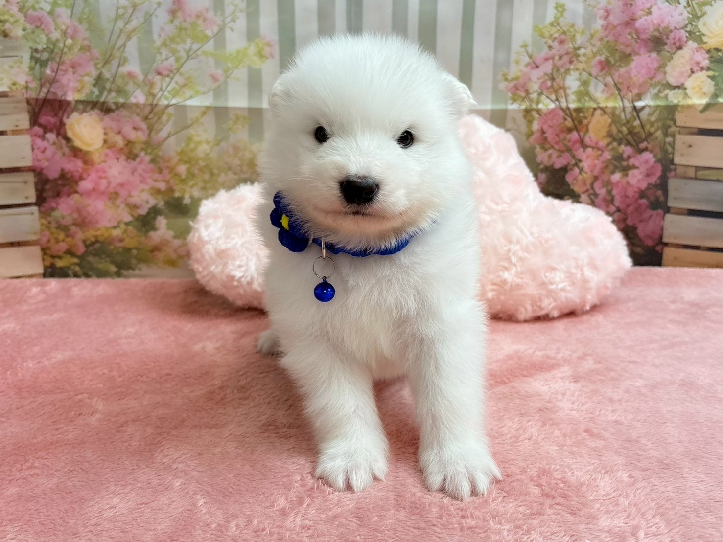 赤ちゃん写真2-1