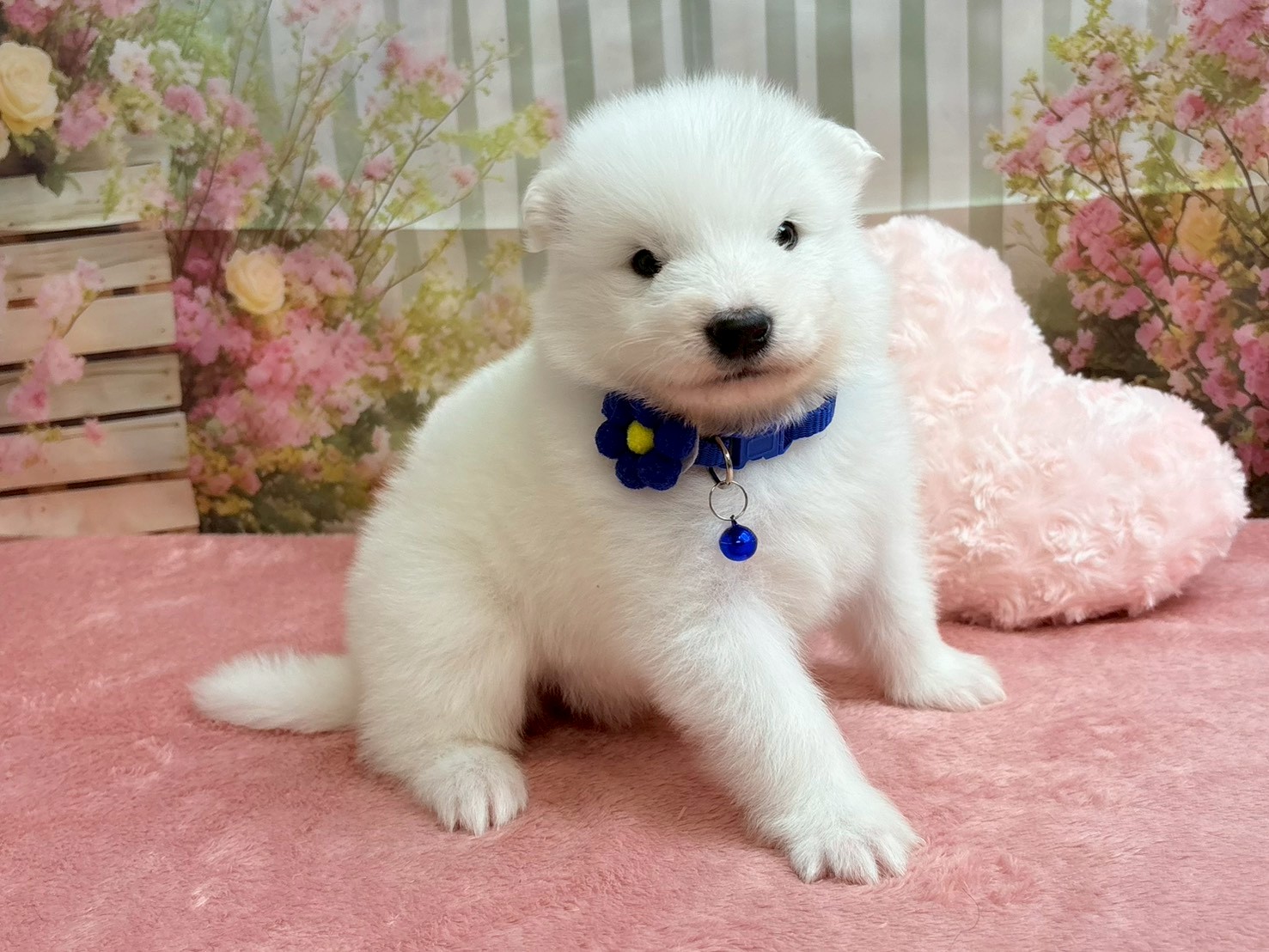 赤ちゃん写真2-2