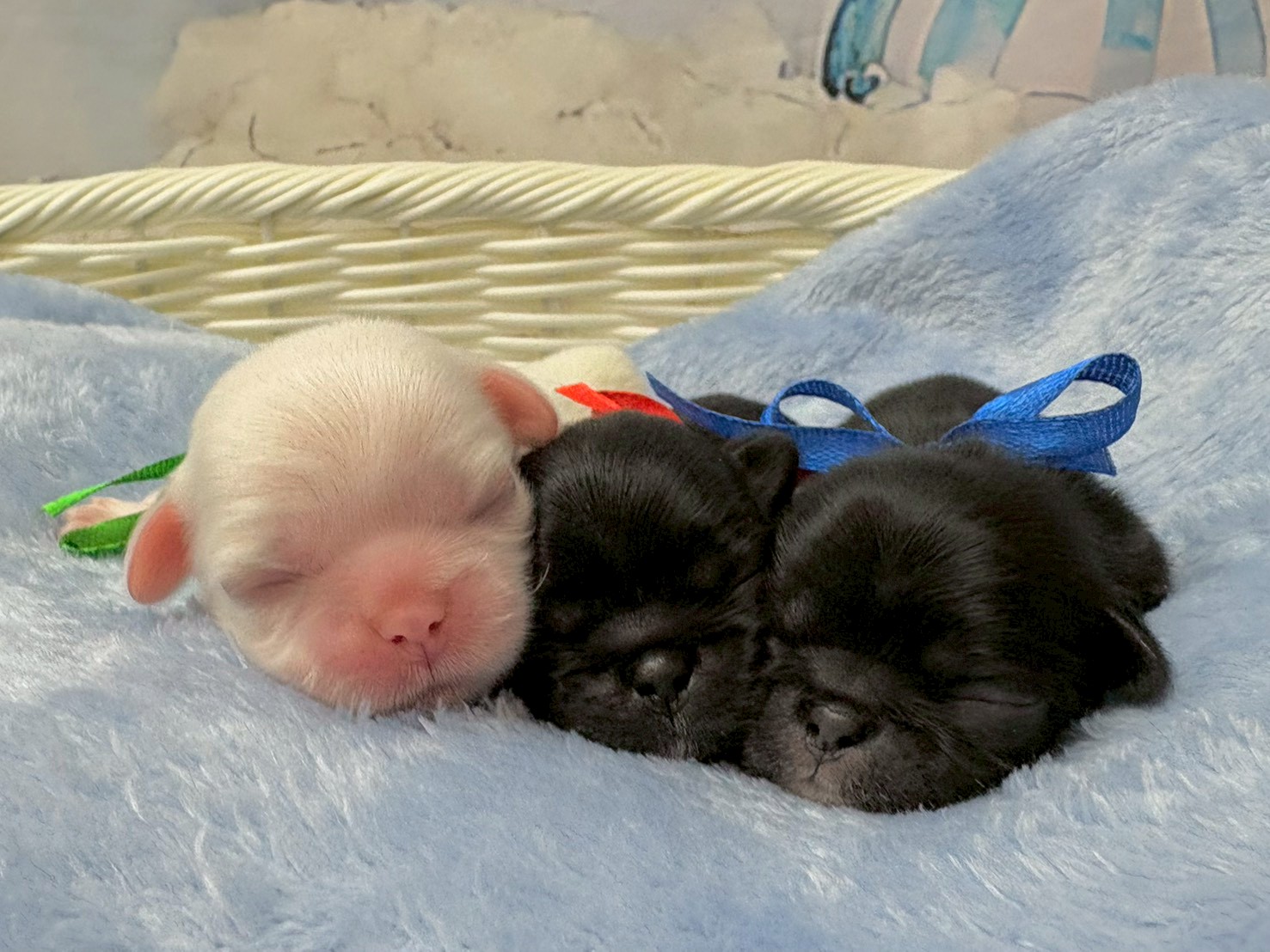 赤ちゃん写真1-3