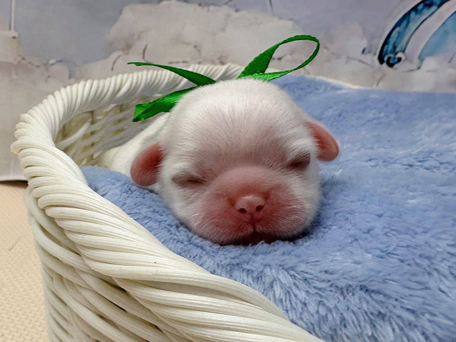 赤ちゃん写真1-1