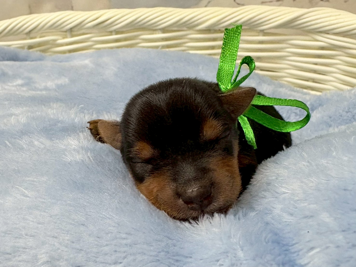 赤ちゃん写真1-1