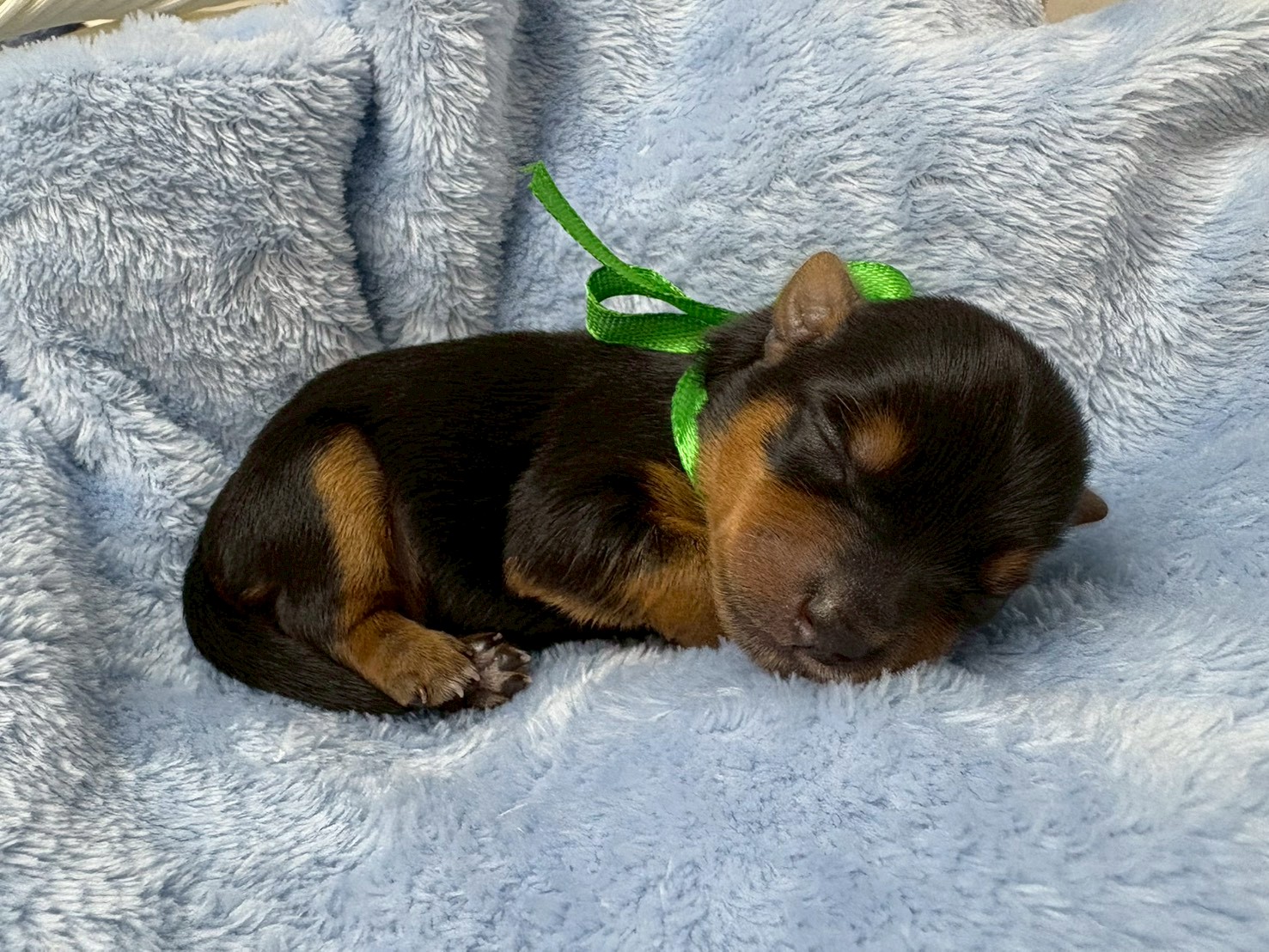 赤ちゃん写真1-2