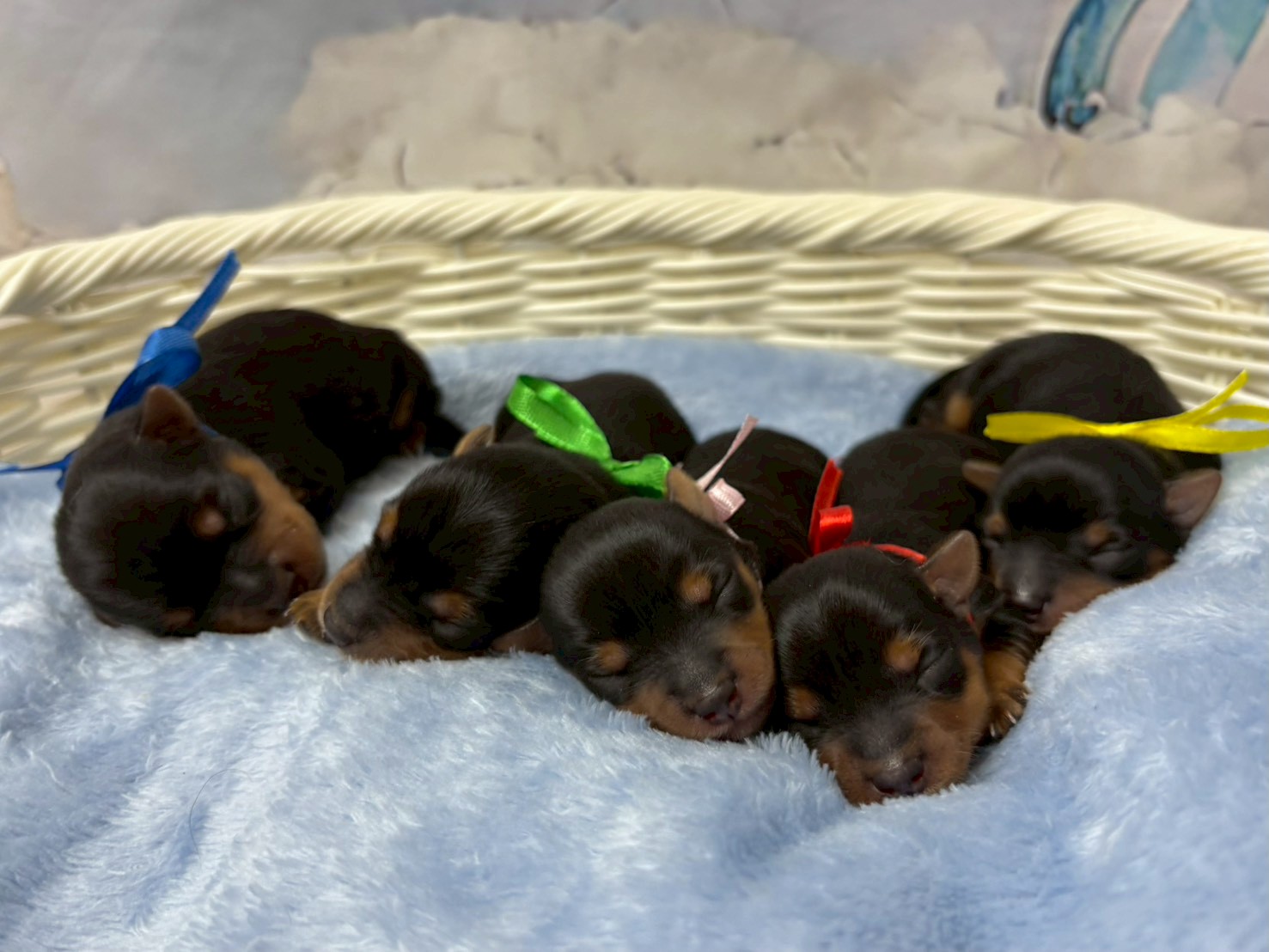 赤ちゃん写真1-3