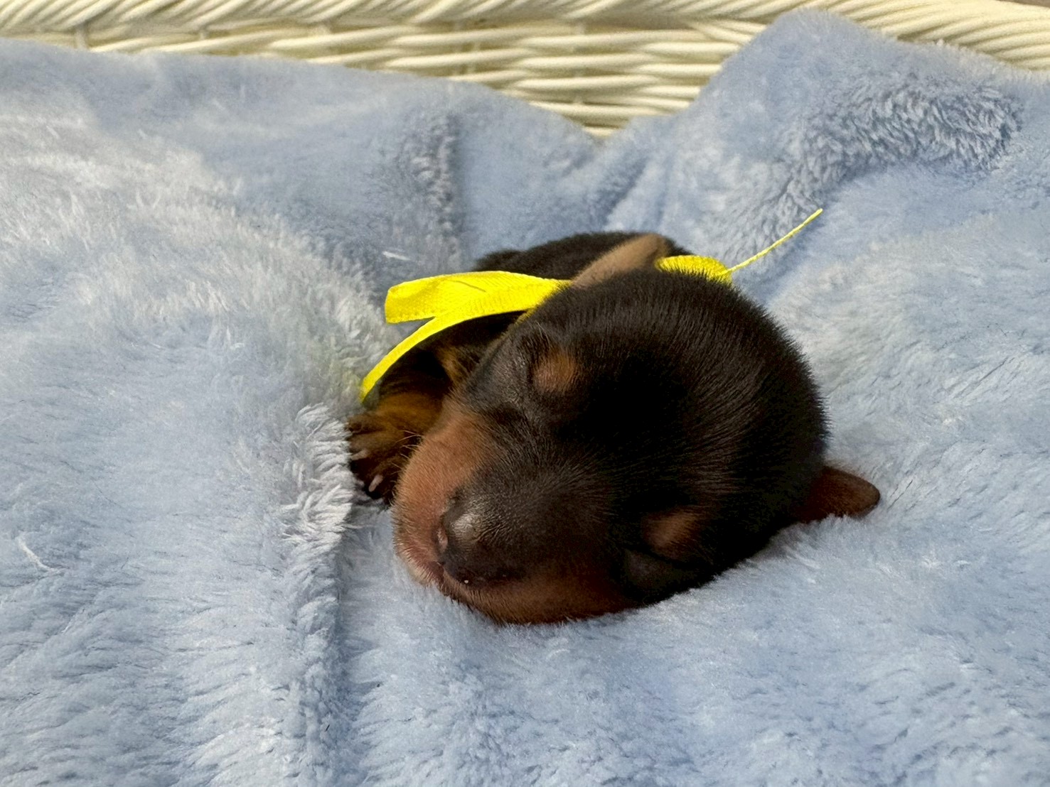 赤ちゃん写真1-1