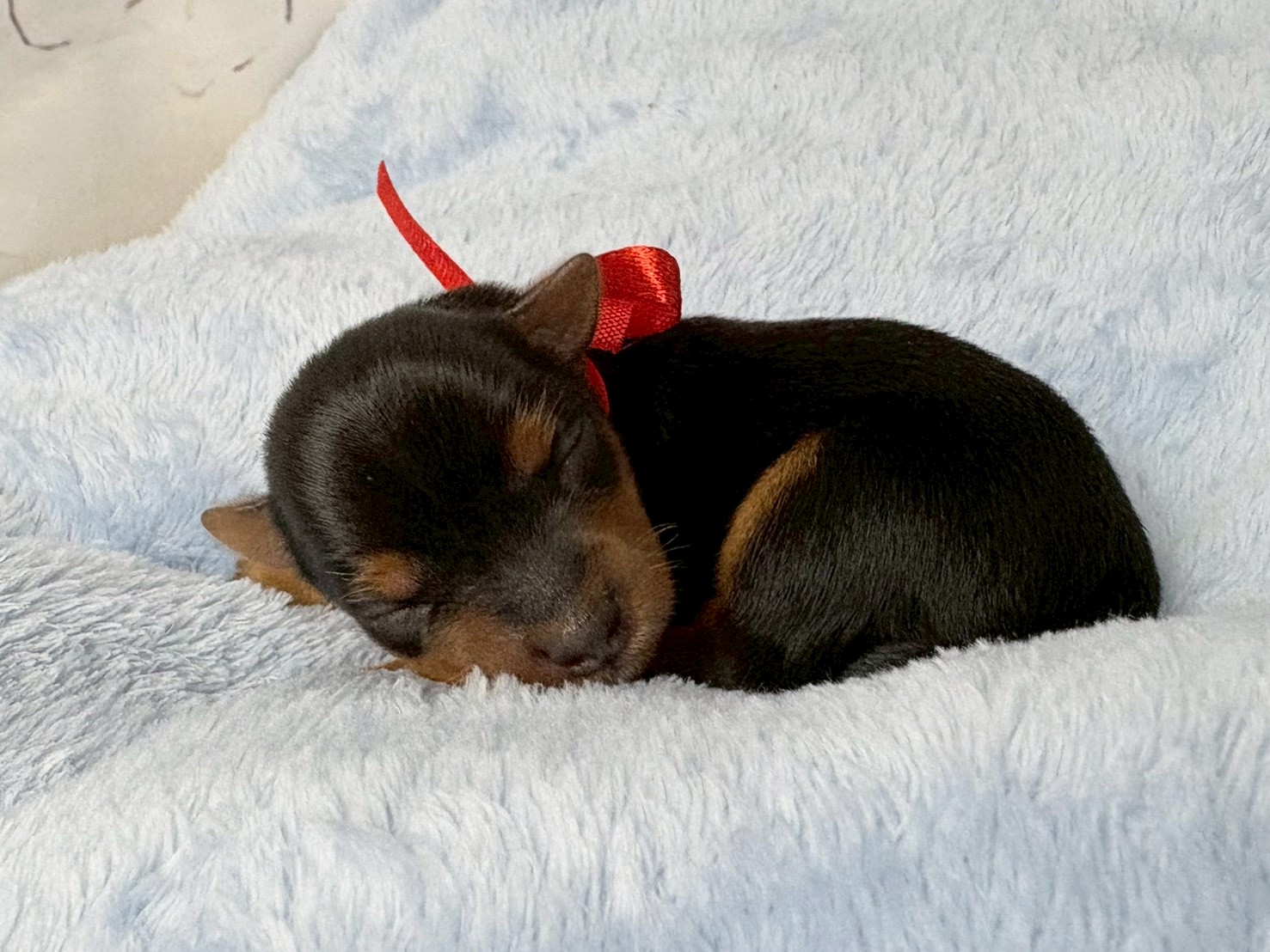 赤ちゃん写真1-2