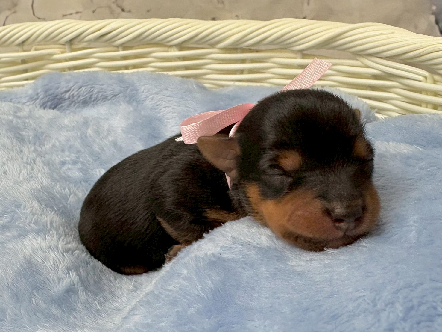 赤ちゃん写真1-2