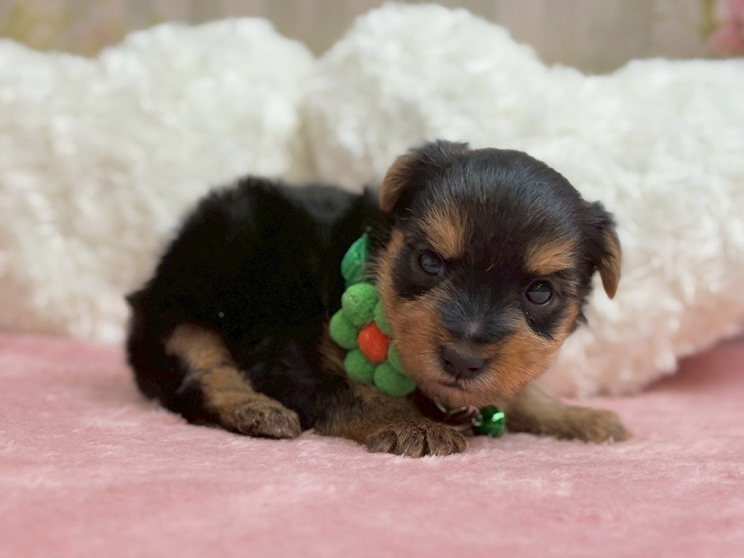 赤ちゃん写真2-2