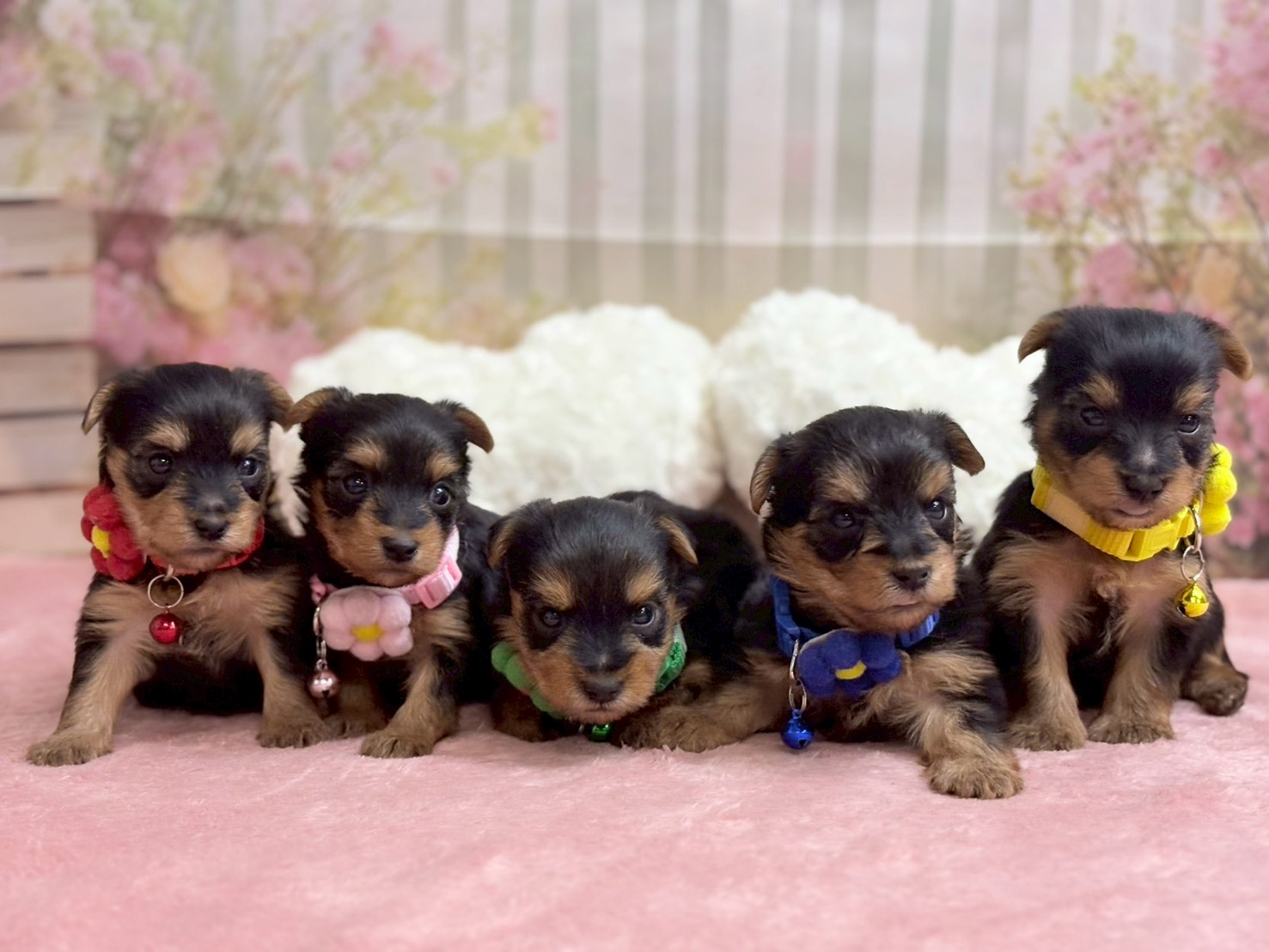 赤ちゃん写真2-3