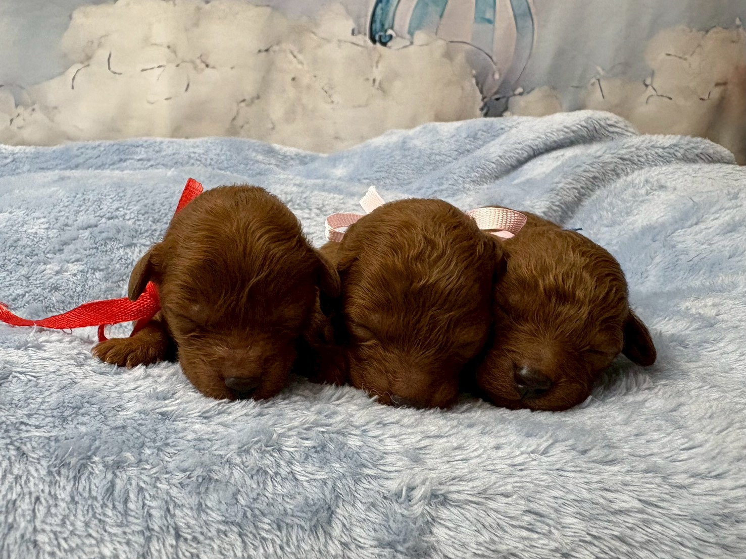 赤ちゃん写真1-3