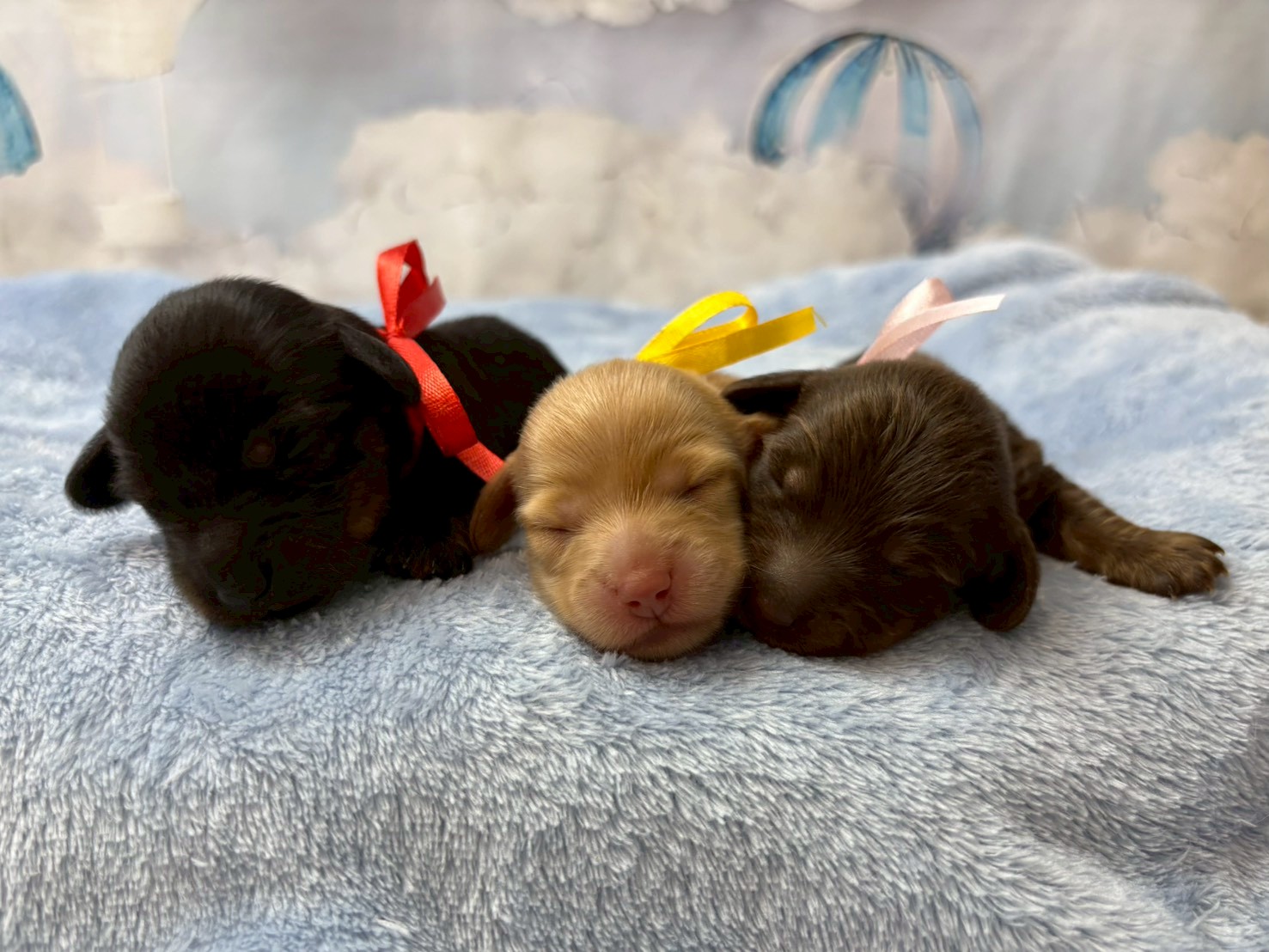 赤ちゃん写真1-3
