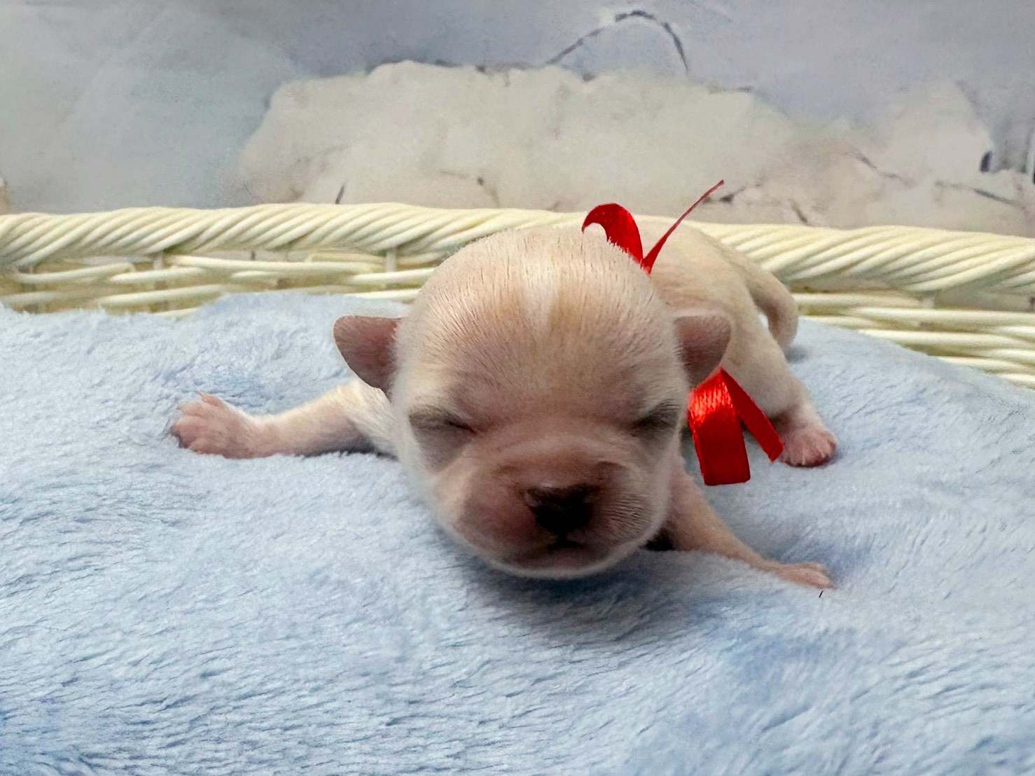 赤ちゃん写真1-1