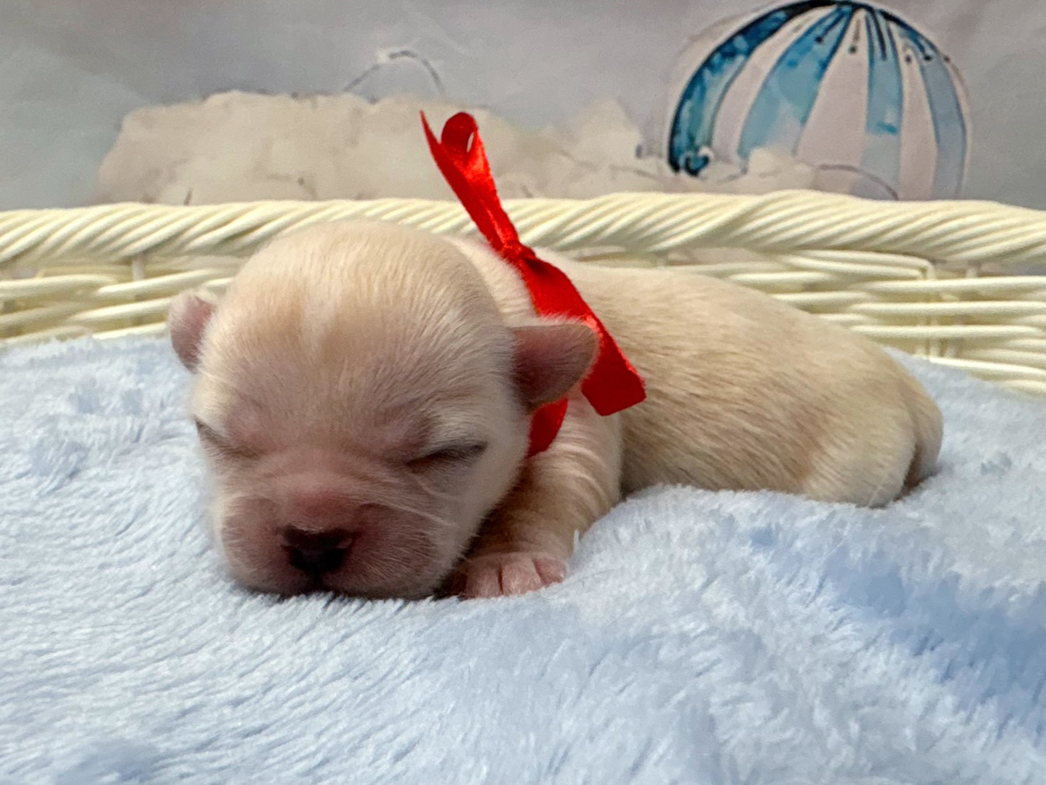 赤ちゃん写真1-2