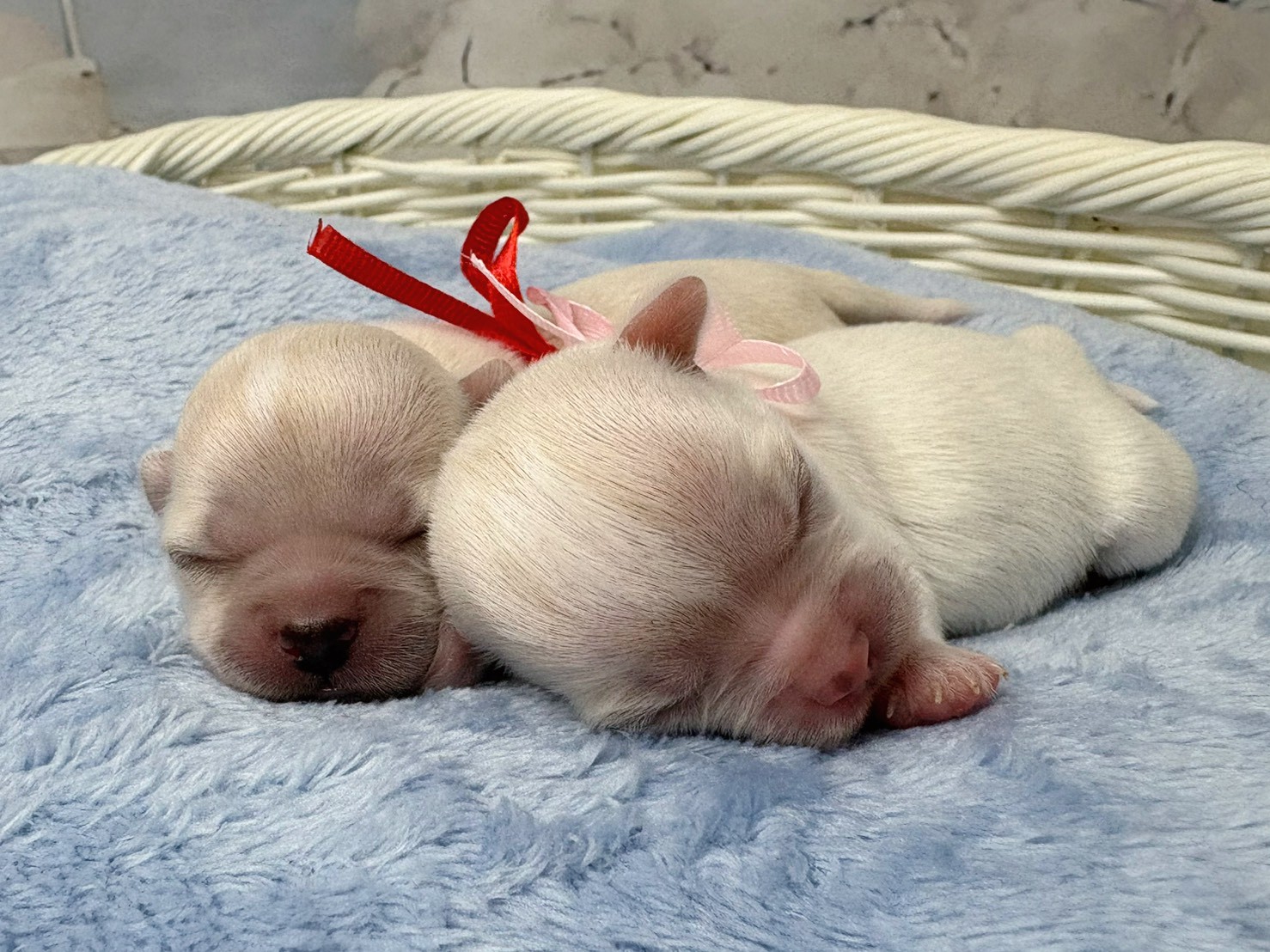 赤ちゃん写真1-3