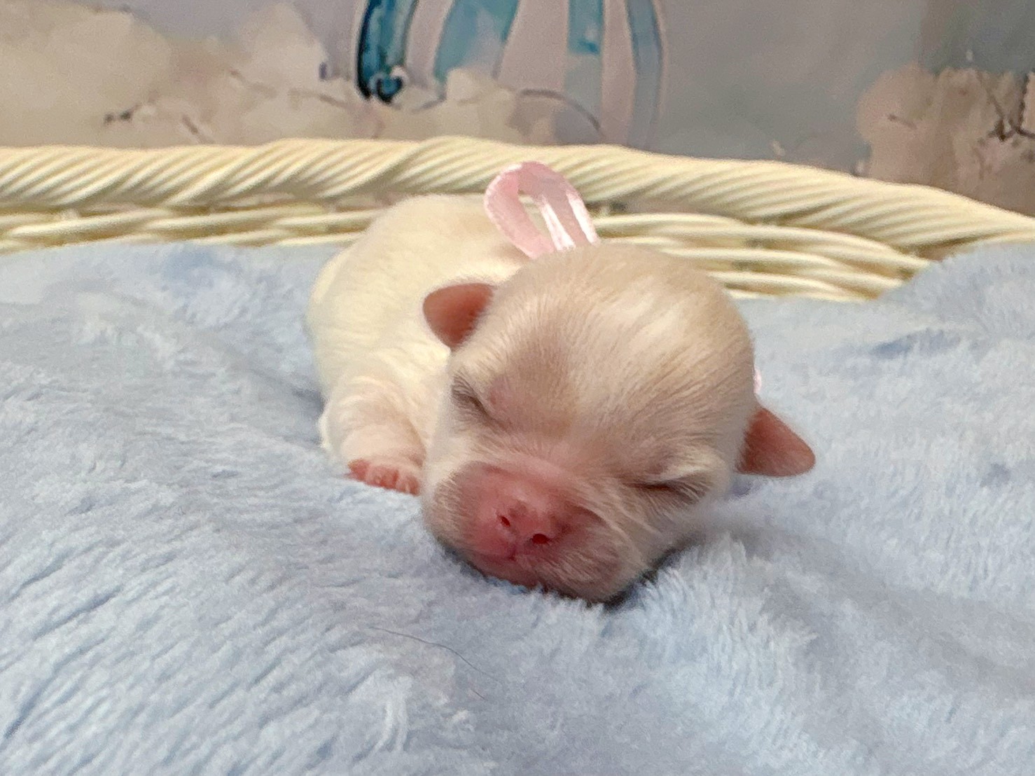 赤ちゃん写真1-1