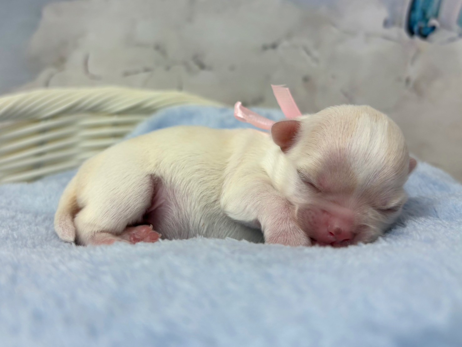 赤ちゃん写真1-2