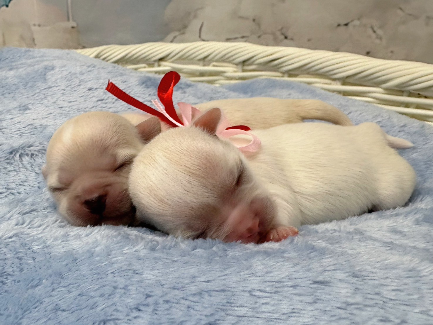 赤ちゃん写真1-3