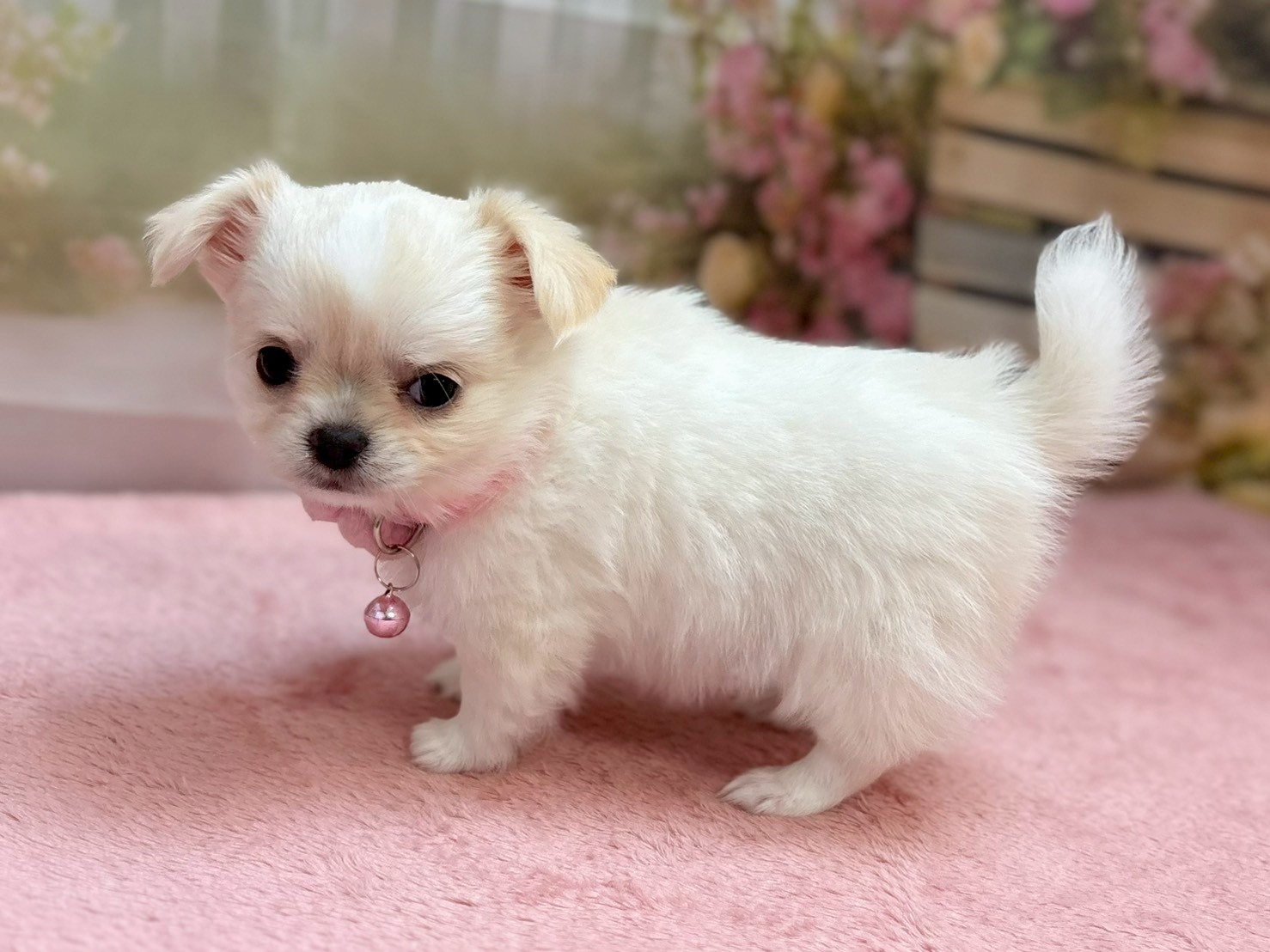 赤ちゃん写真3-2