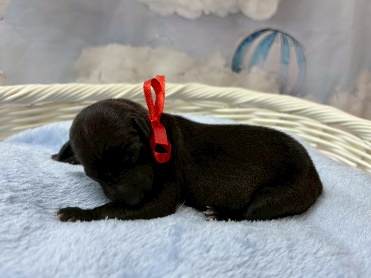 赤ちゃん写真1-2