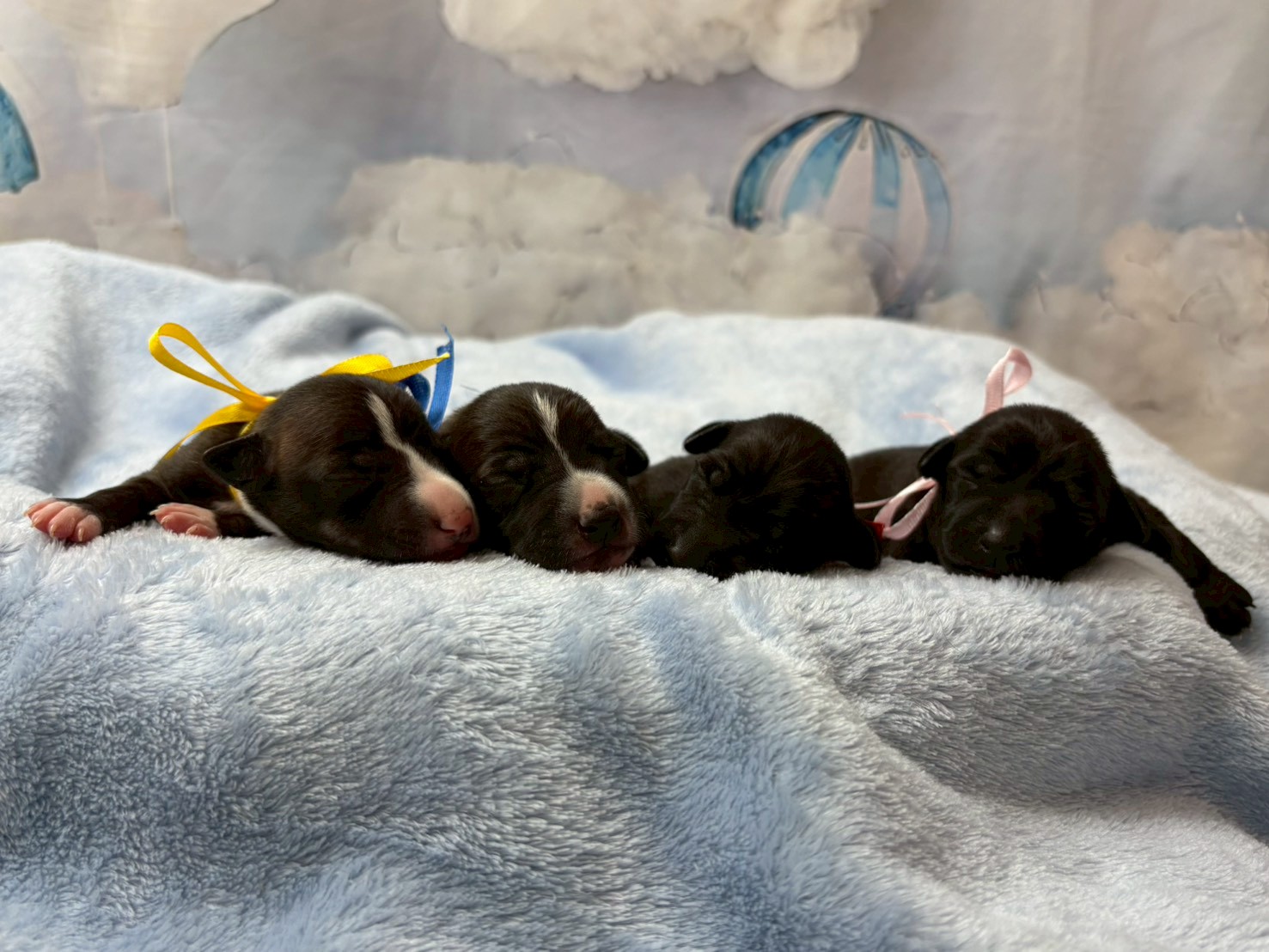 赤ちゃん写真1-3