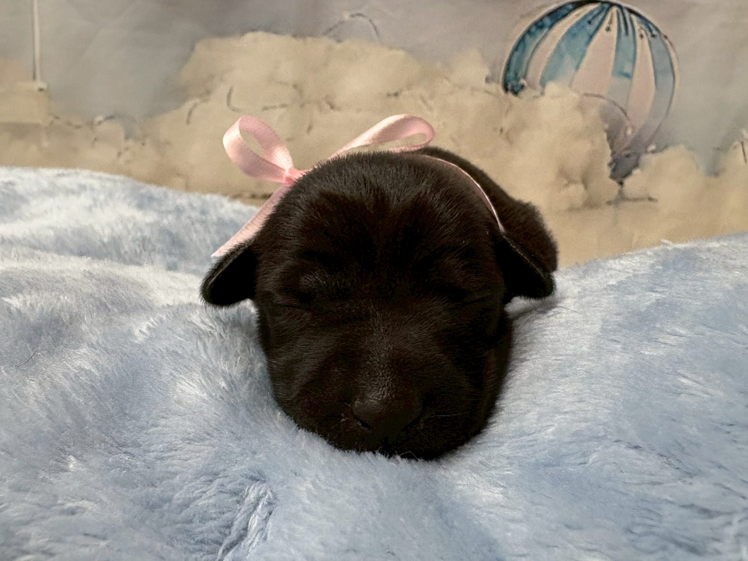 赤ちゃん写真1-1